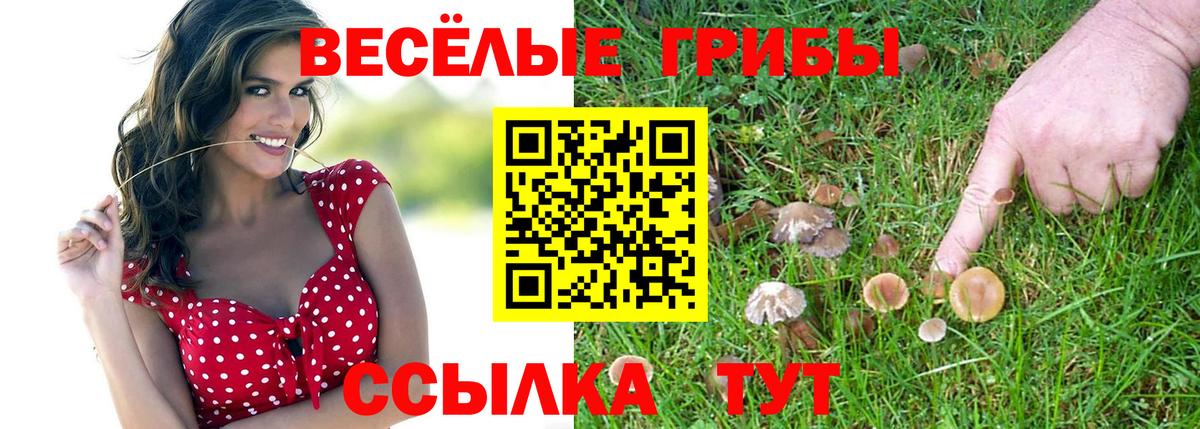 Кунгур  Псилоцибиновые грибы Cubensis  Галлюциногенные грибы ЛСД  Вход с VPN 